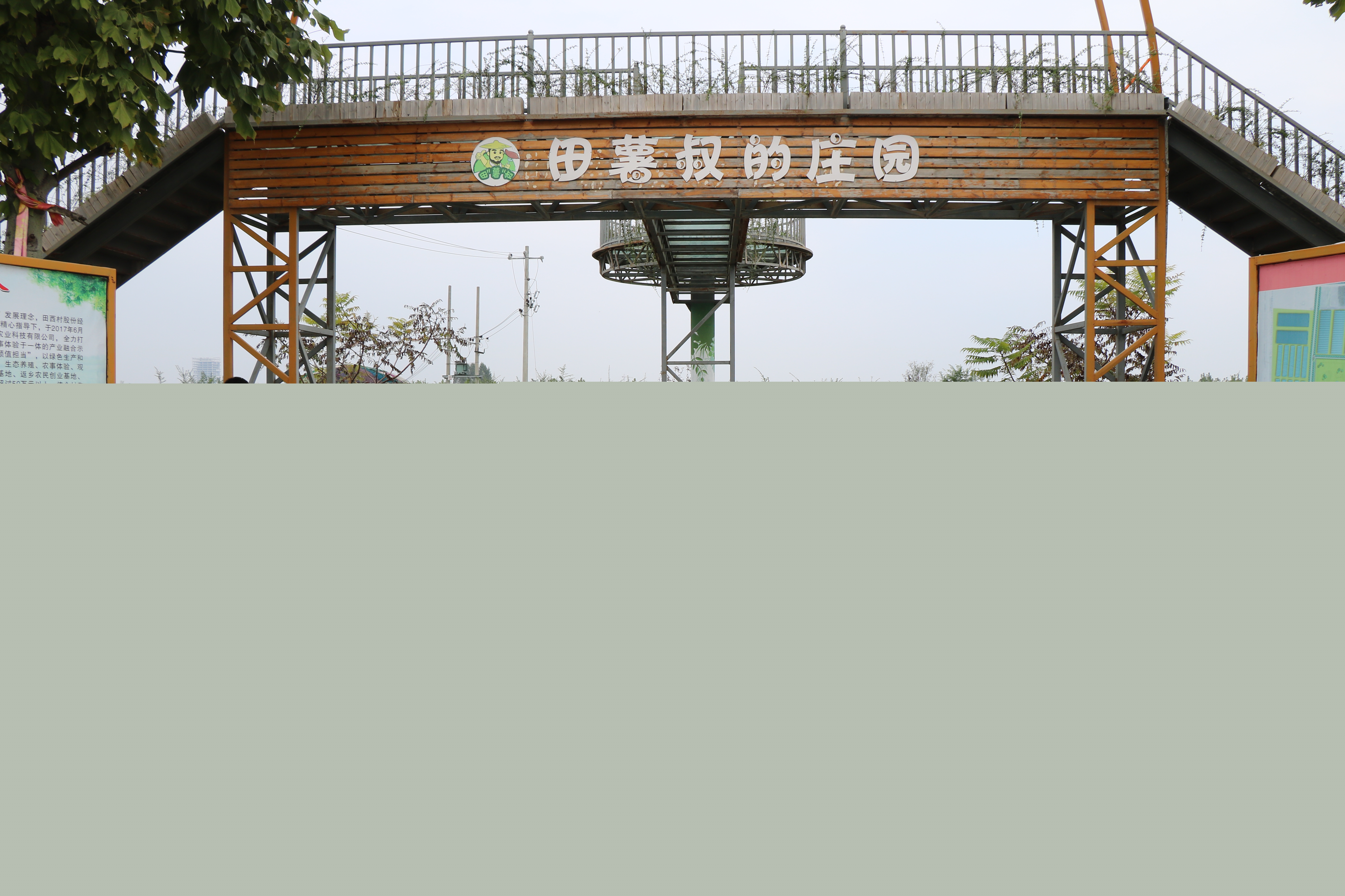 5c5fda0206684dd79c1ad0ed17e79bb0.jpg