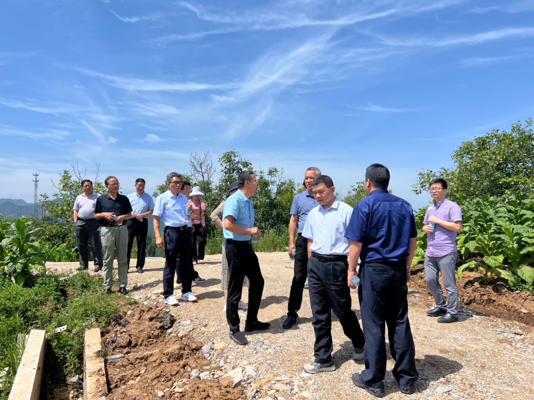 bf29acedbcd244ba96964c272393226f.jpg bf29acedbcd244ba96964c272393226f.jpg